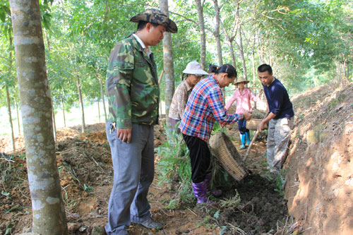 �������z��ʯ�ֹ�˾�z�@������������M����