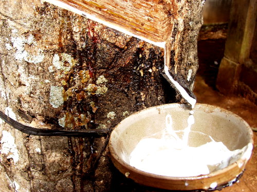 ���z��׃����