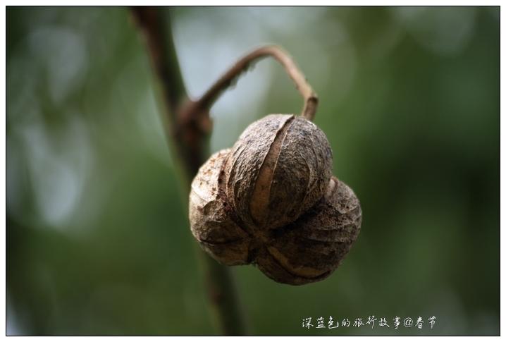 ���z���һĨ�@�G