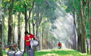 �����z�䡷����������